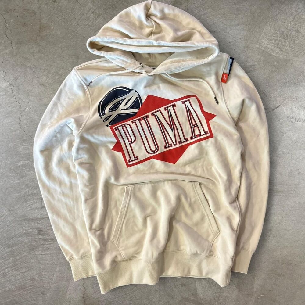 Puma mens hoodie classics graphic sweatshirt alpine snow